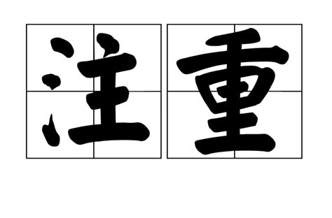 注重|注重 (zhù zhòng) Definition & Meaning